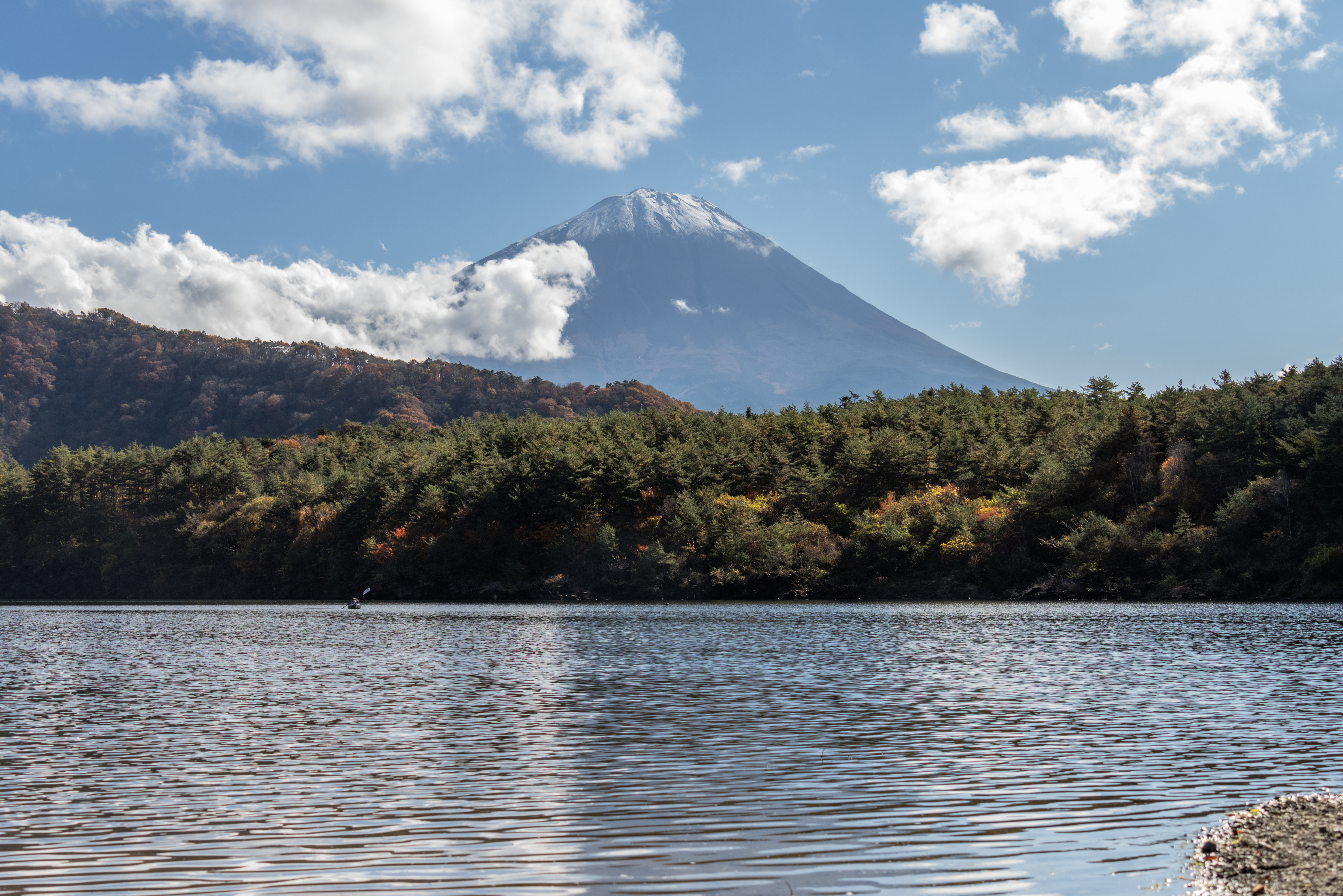 Cherry Blossoms & Countryside Cycling