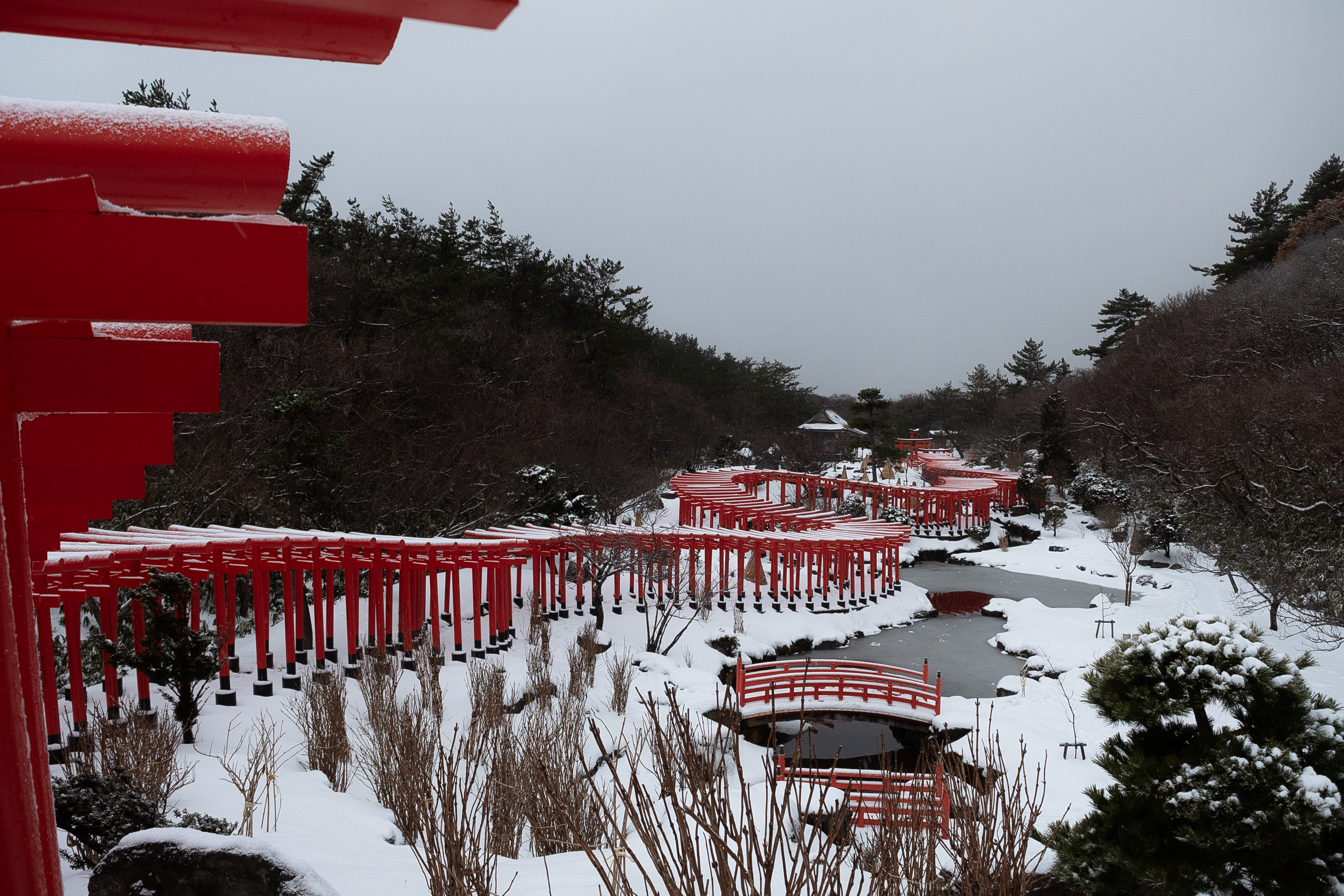 Snow Monkeys & Nagano Village Stay